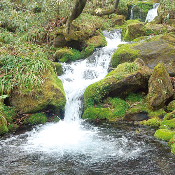 黒姫 (長野県上水内郡信濃町)